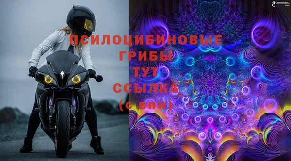 трава Мегион